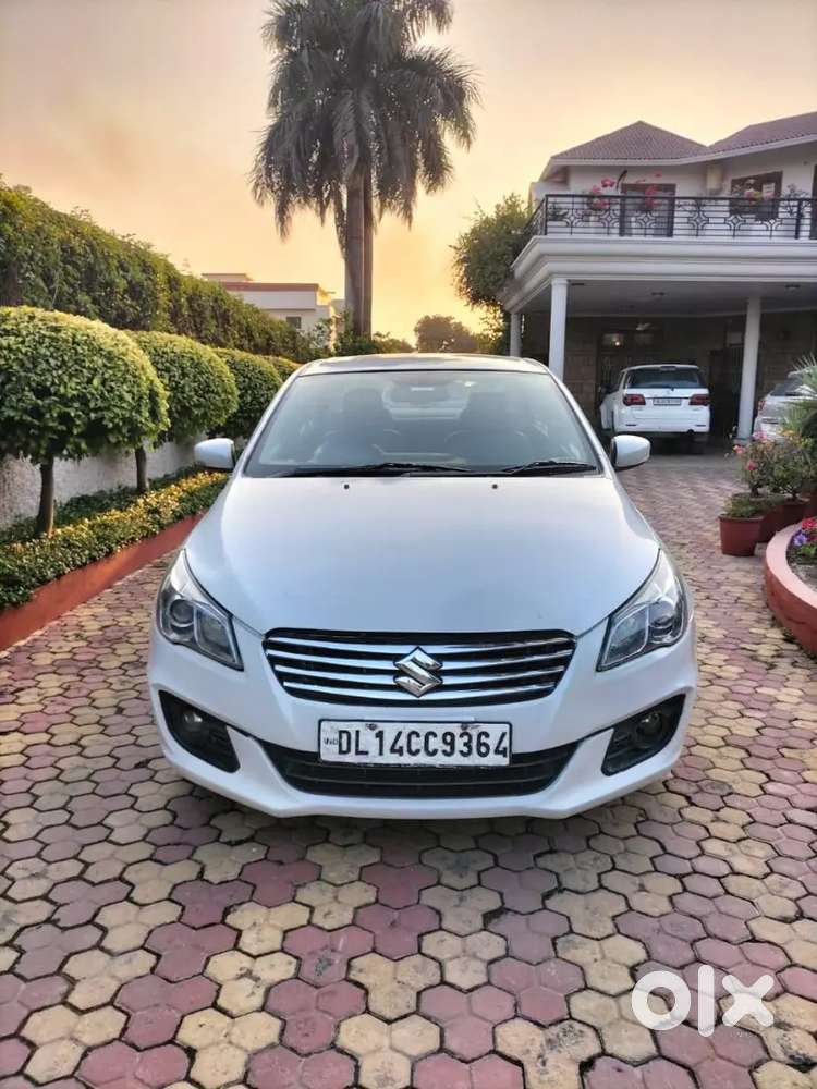Ciaz Diesel Zdi+ 2016 December