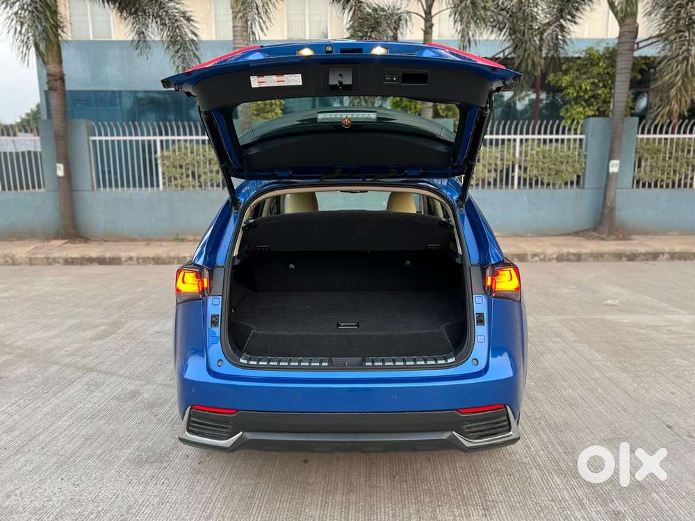 Lexus Nx Lexus-nx-300h-luxury, 2018, Petrol