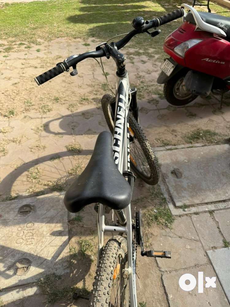 Schnell rocco cycle hot sale