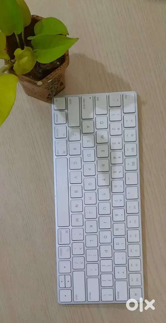Selling apple keyboard wireless chargeable A1664 model new condition