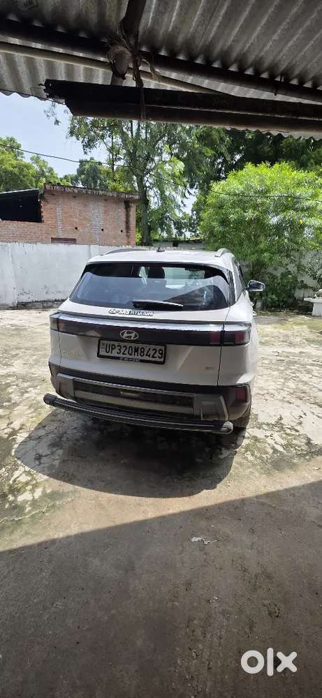 Scorpion Lena Hai