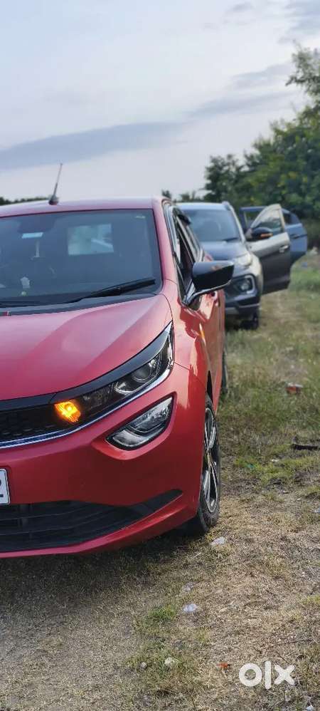 Showroom Maintenance And Good Condition