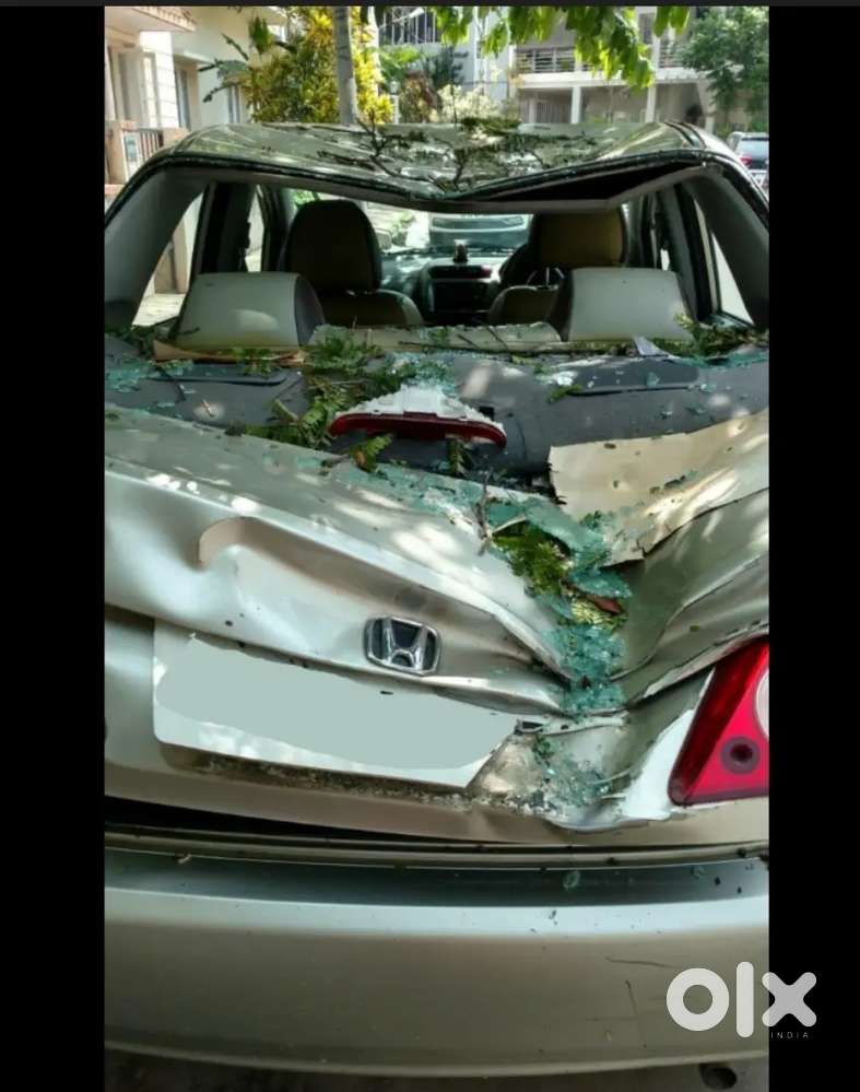 I I'll Purchase All Total Loss Cars