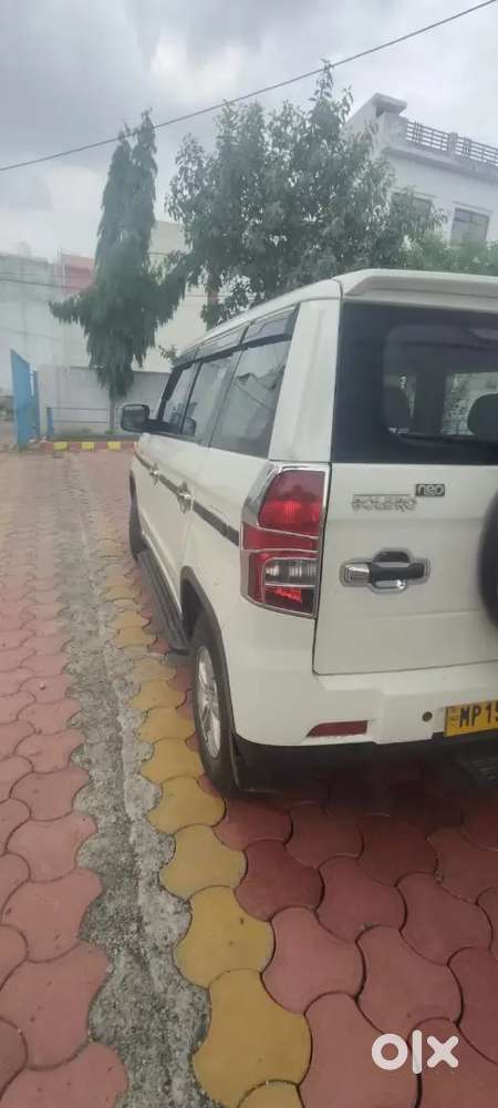 New Car Parches