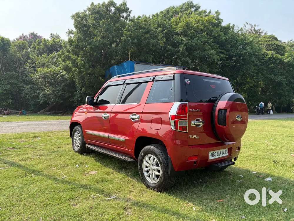 Tuv 300 T8 2016
