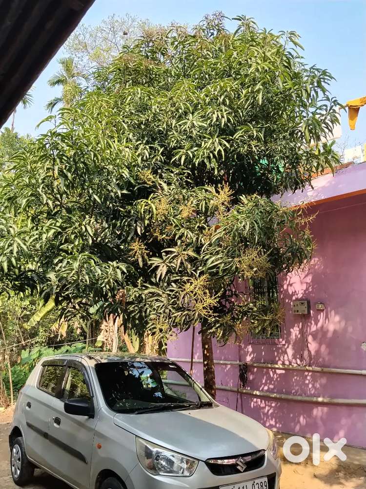 Maruti Suzuki Alto K10 2016