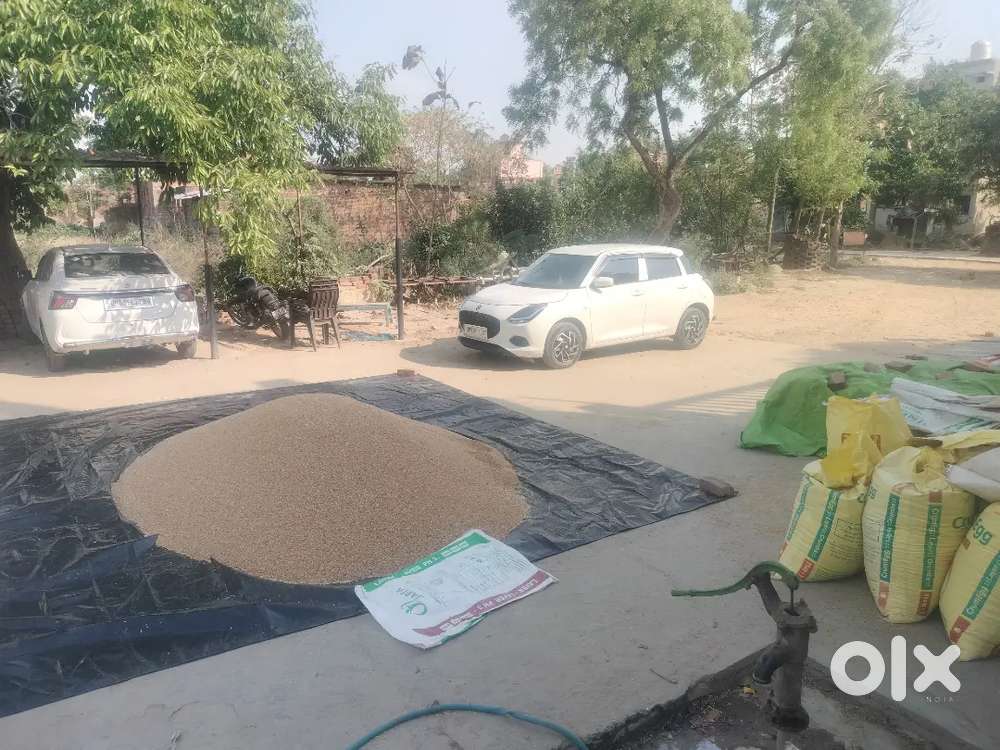 Maruti Suzuki Swift 2025