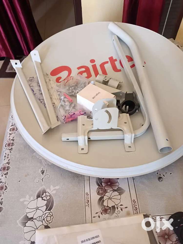 TV dish antenna