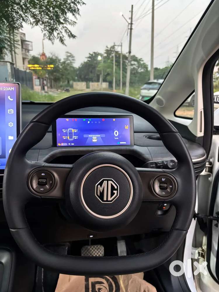 Mg Windsor Ev, 2025, Electric