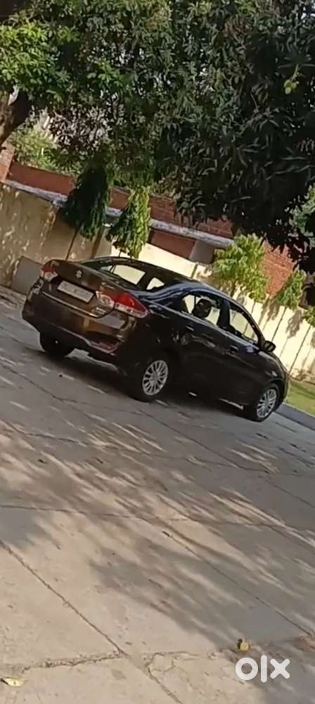 Maruti Suzuki Ciaz 2016 Diesel