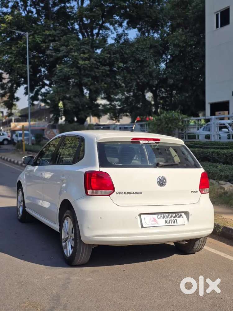 White Gloosy Coloured Polo