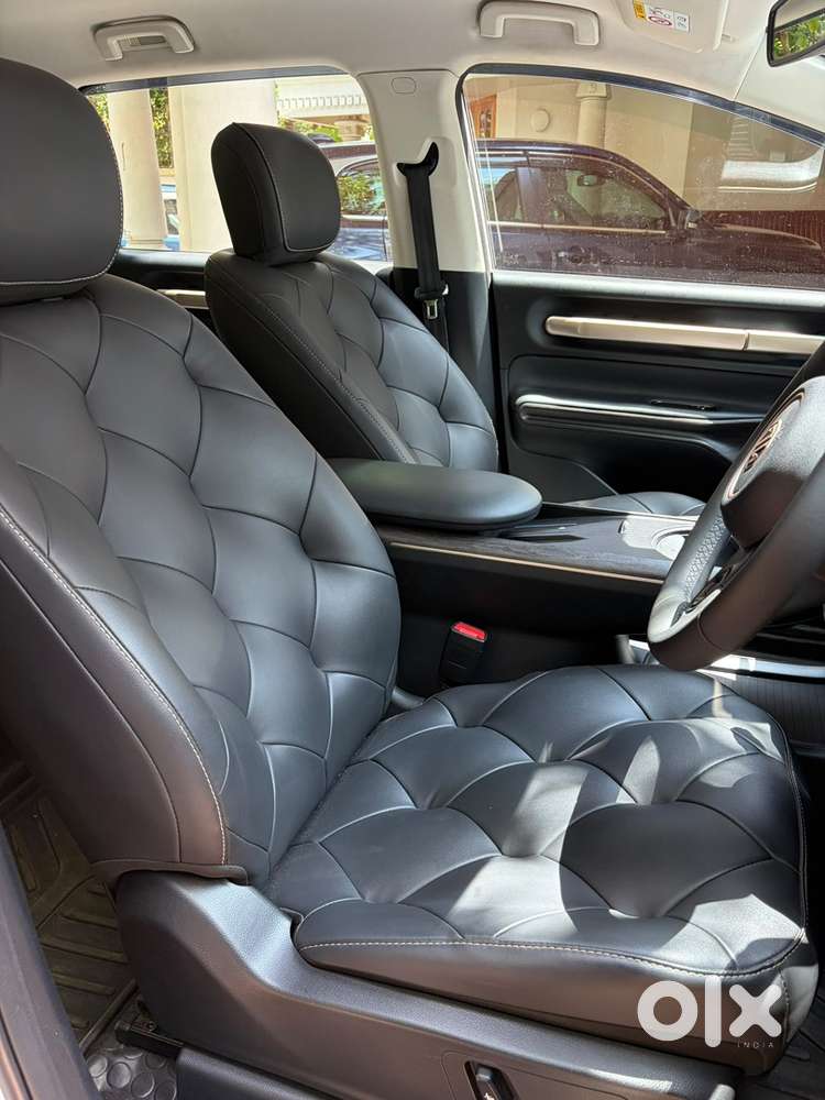 Mg Windsor Ev Exclusive 2025