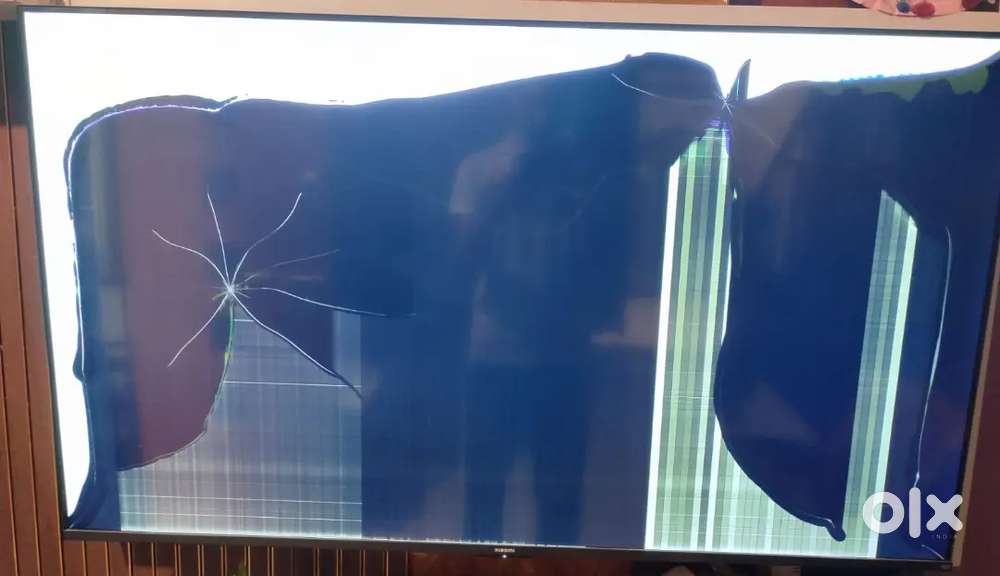 Xiaomi 55 QLED 4K Smart TV – 7 Months Old – Display Cracked