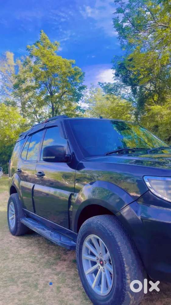 Tata Safari Storme 2014 Diesel Manual Car