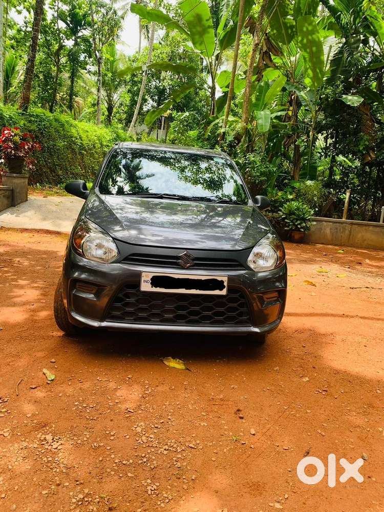2019 Maruti Suzuki