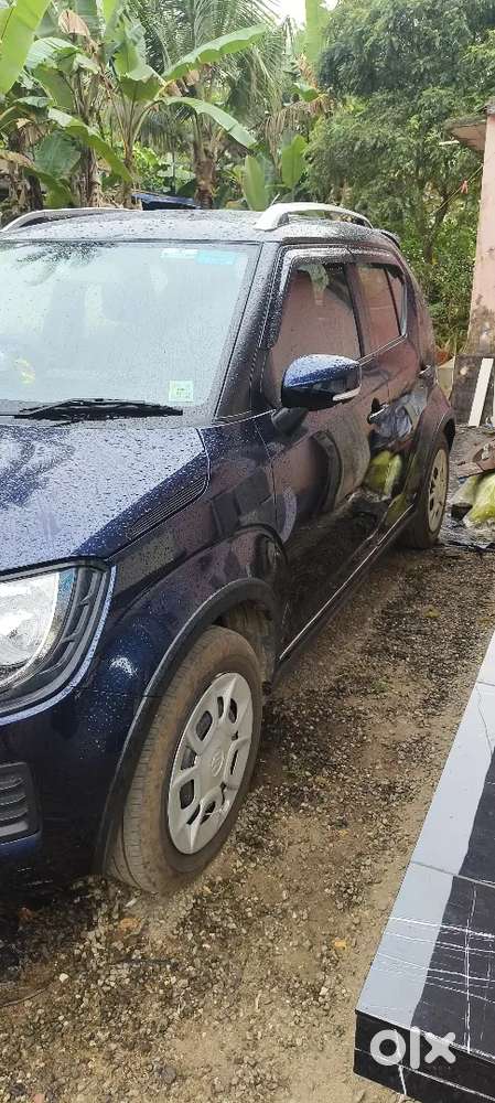 Maruti Suzuki Ignis Delta 2025