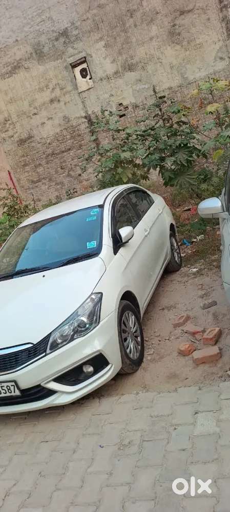 Maruti Suzuki Ciaz 2022 Petrol 54000 Km Driven