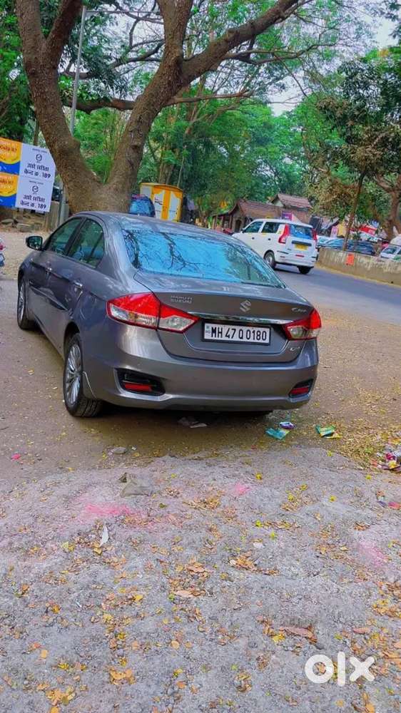 Maruti Suzuki Ciaz Zxi Plus For Rent On Wedding For Dulha And Outing