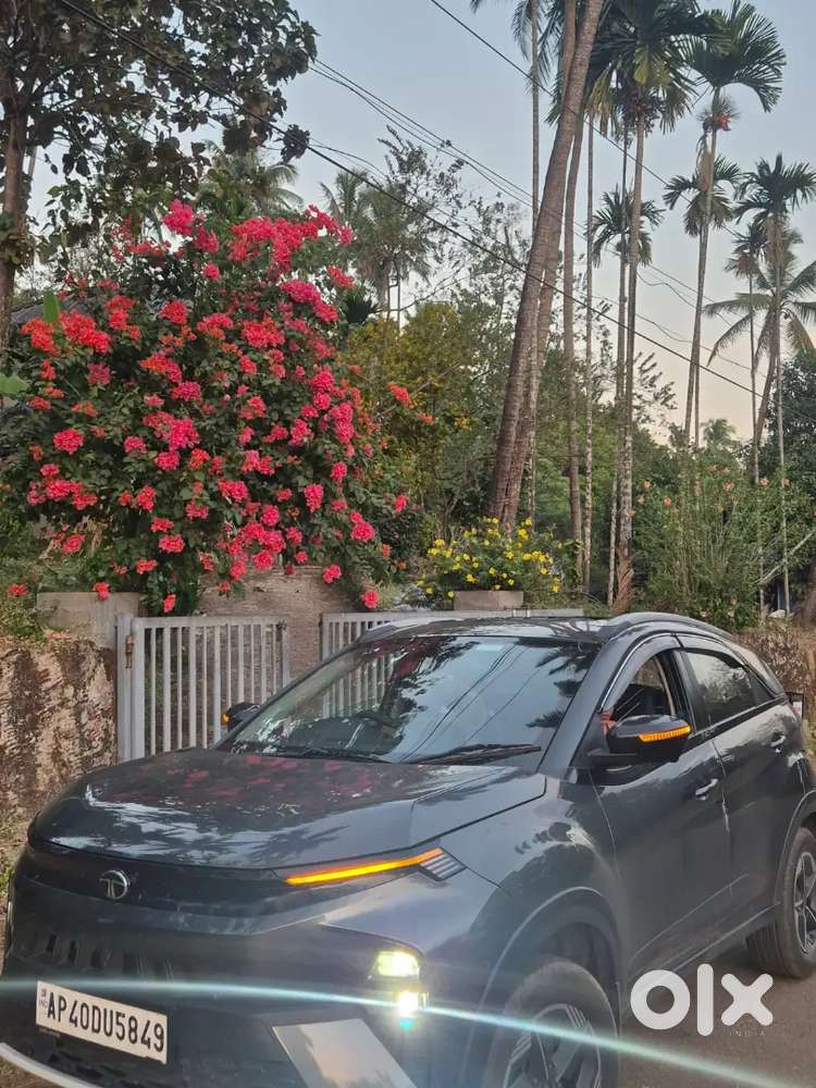 Tata Nexon 2024 Petrol 47500 Km Driven