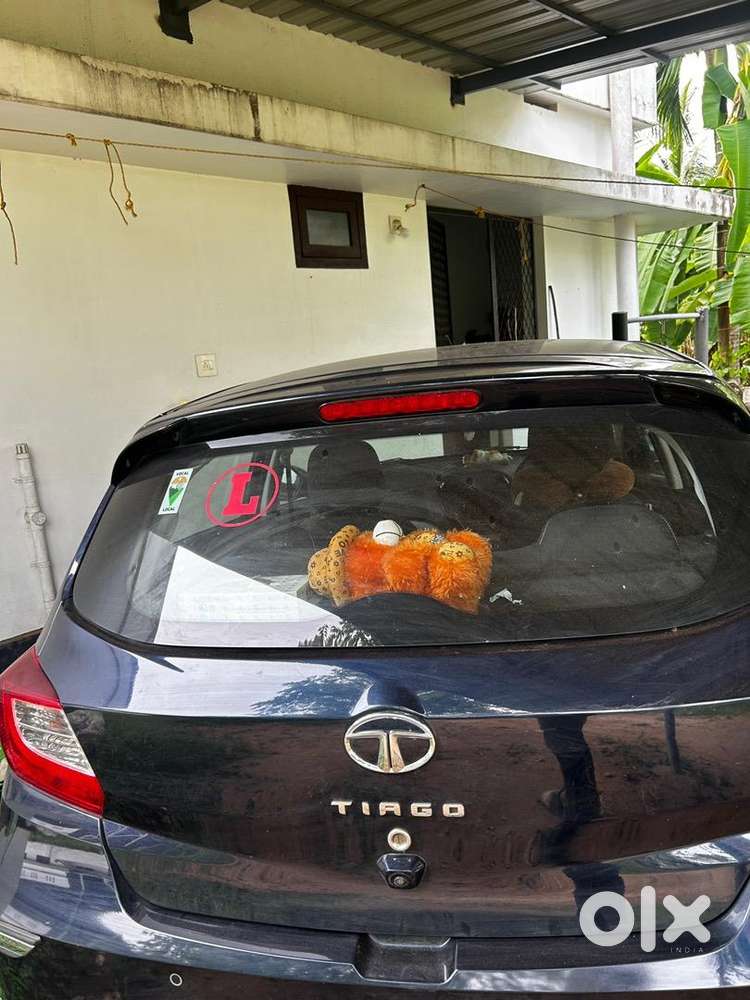 Tata Petrol Manual 2023