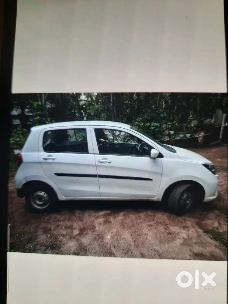 Maruti Suzuki Celerio 2019 Cng & Hybrids 300000 Km Driven