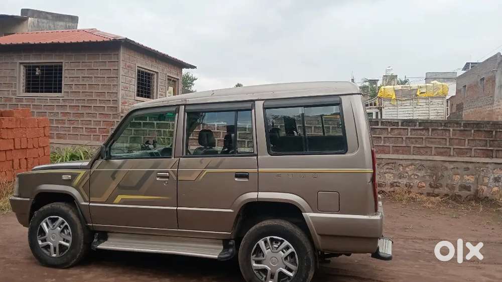 Sumo Gold Di