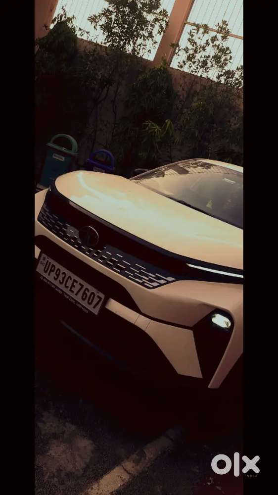 Tata Curvv 2024 Diesel Well Maintained