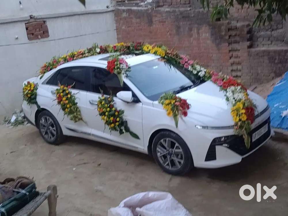 Hyundai Verna Petrol Sx 2024