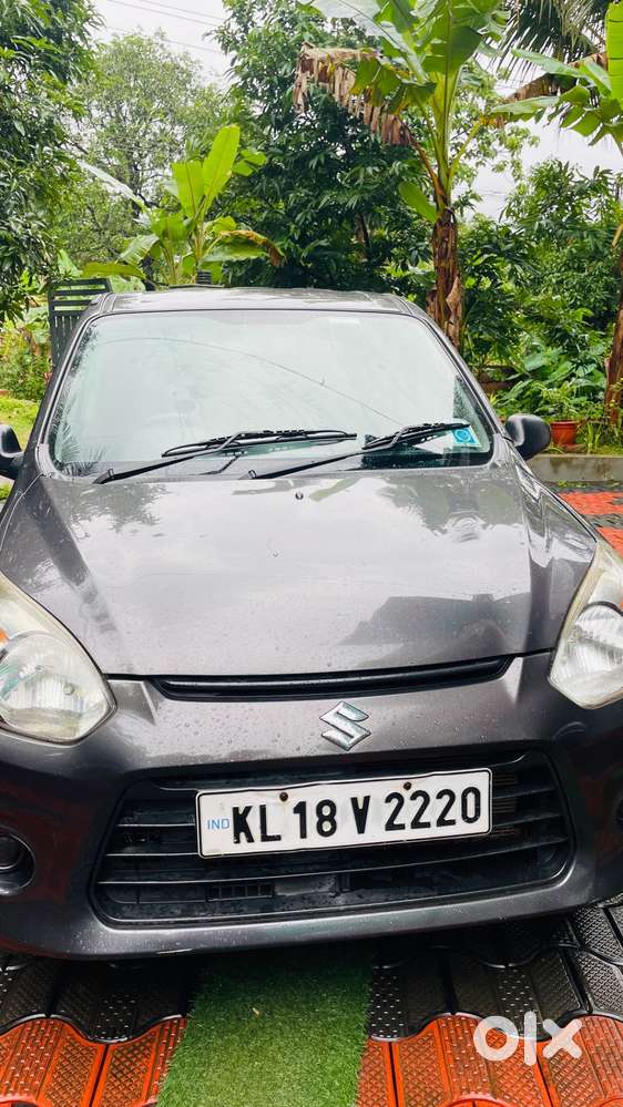 Alto 800 One Person