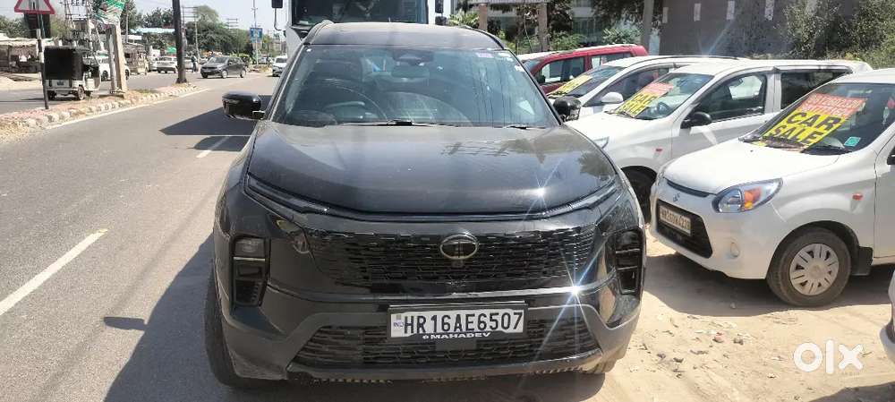 Tata Safari 2025 Diesel Well Maintained In Good Condition