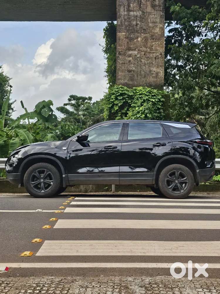 Harrier Xt +