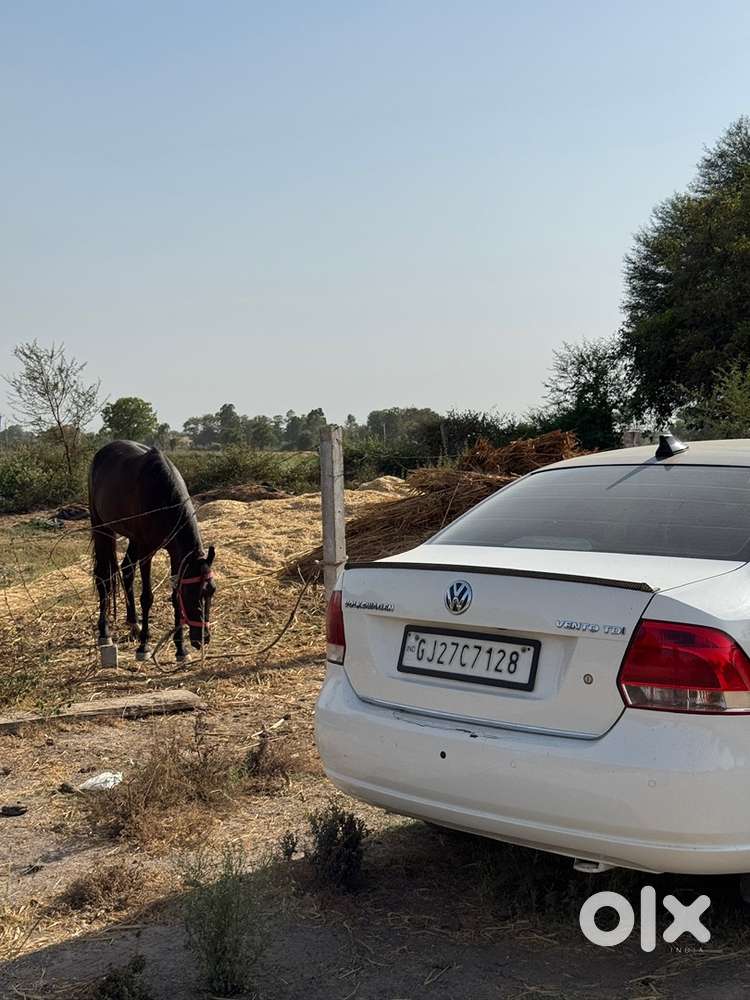 Volkswagen Vento Diesel 2013