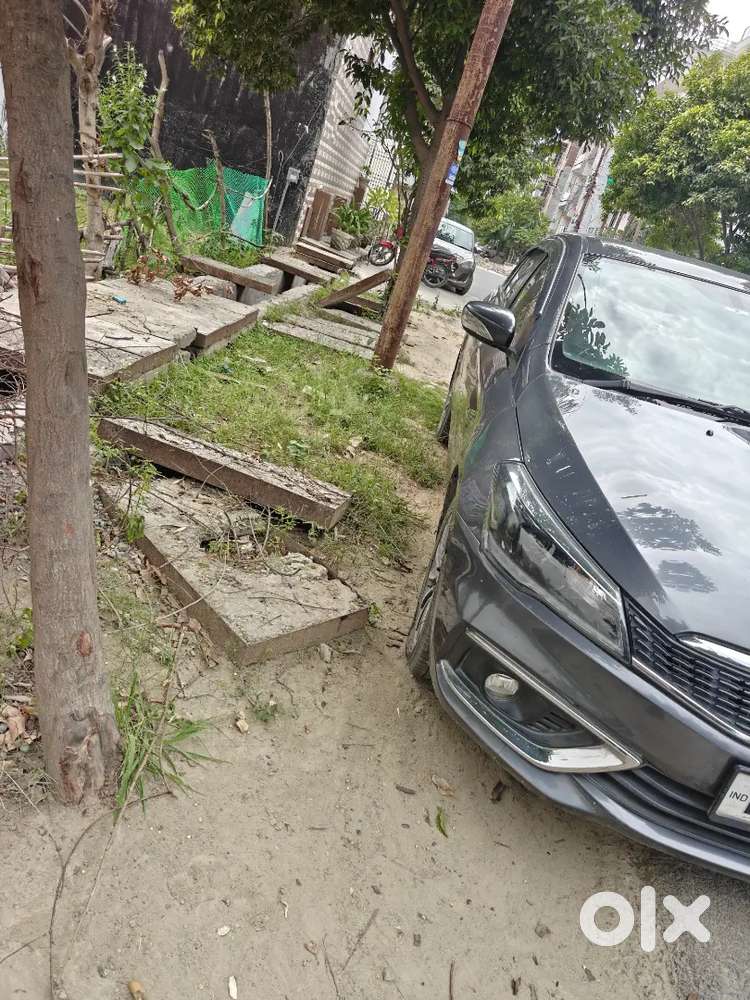 Maruti Suzuki Ciaz Alpha 2023 Petrol And Smart Hybrid Manual