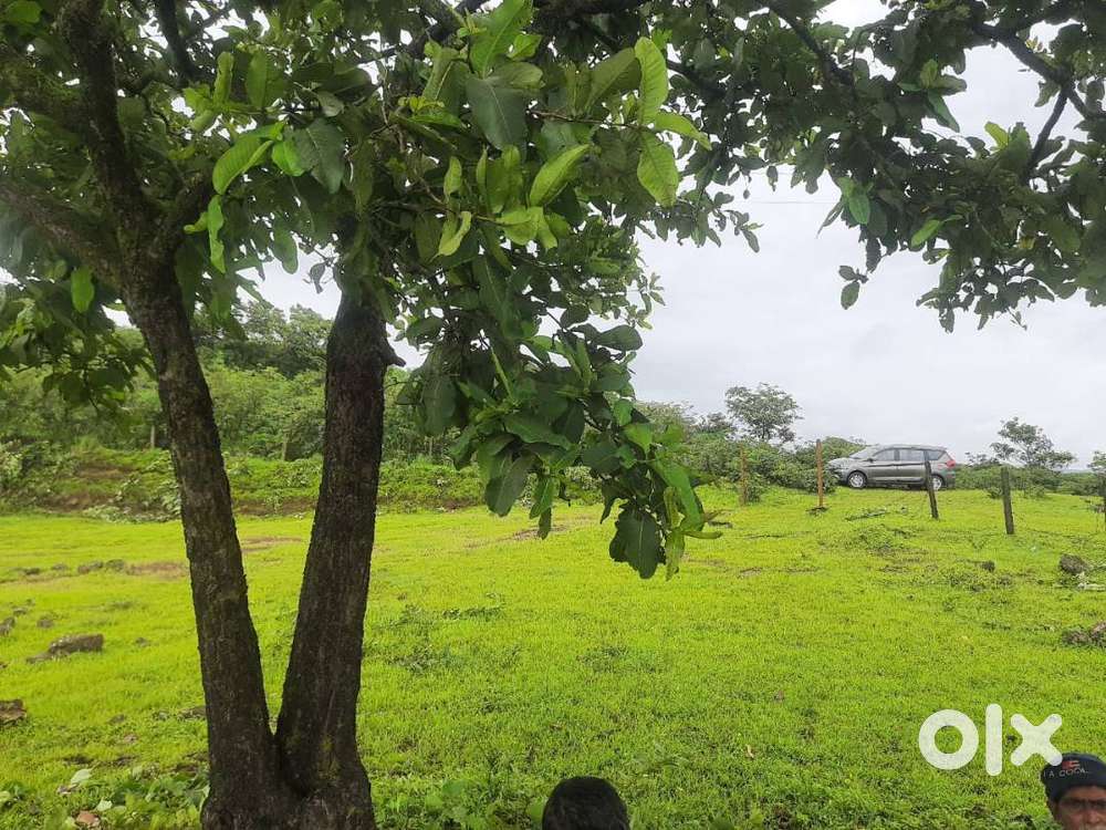 4 Acre Agriculture Farm House Farming Land For sale Near Pune Velha Lands & Plots 1744889845