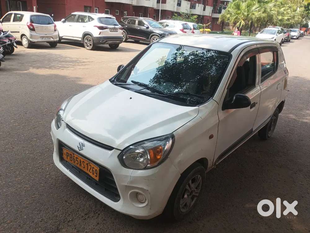 Alto 800 Company Cng