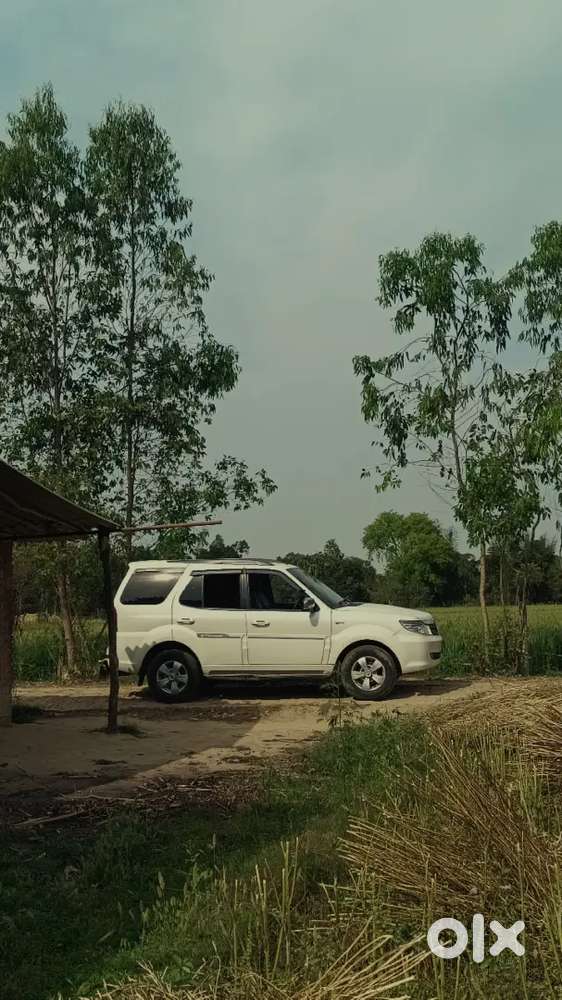 Tata Safari Storme 2016 Diesel Car