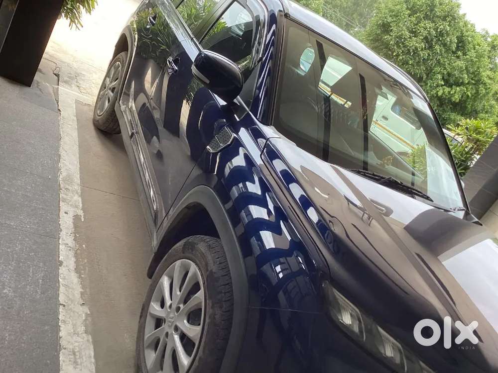 Grand Vitara 2024