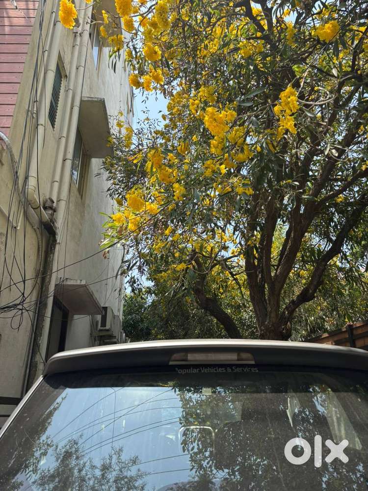 Maruti Brezza Lxi 2021