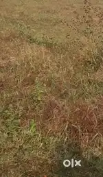 5 cent Residential Plot