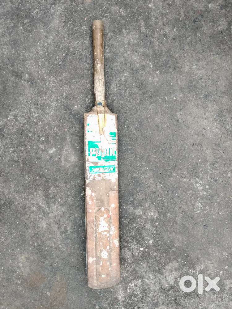 Cricket Bat