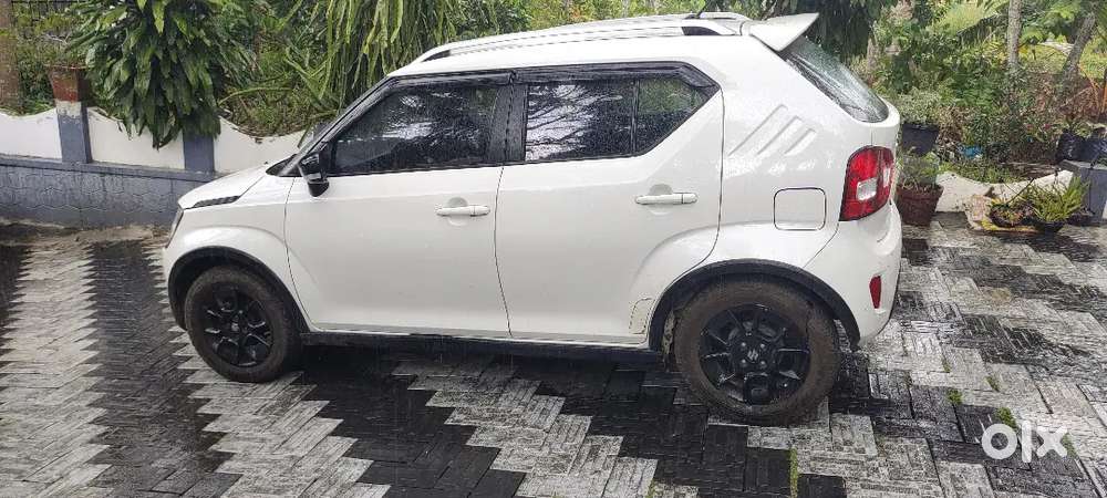 Maruti Suzuki Ignis 2023 Petrol Well Maintained
