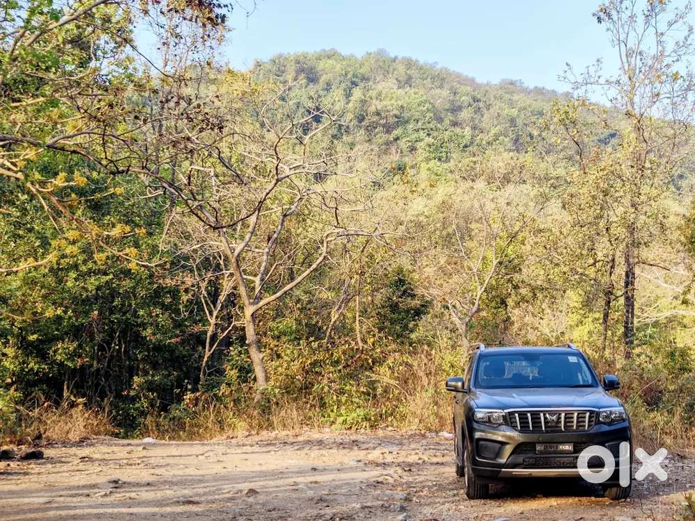 Mahindra Scorpio N Diesel Z6, Nov'23  Buy + 15 Yrs Road Tax + 20050 Km