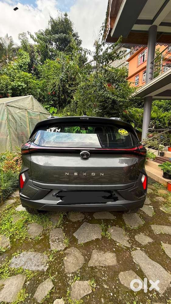 Tata Nexon Petrol 2024