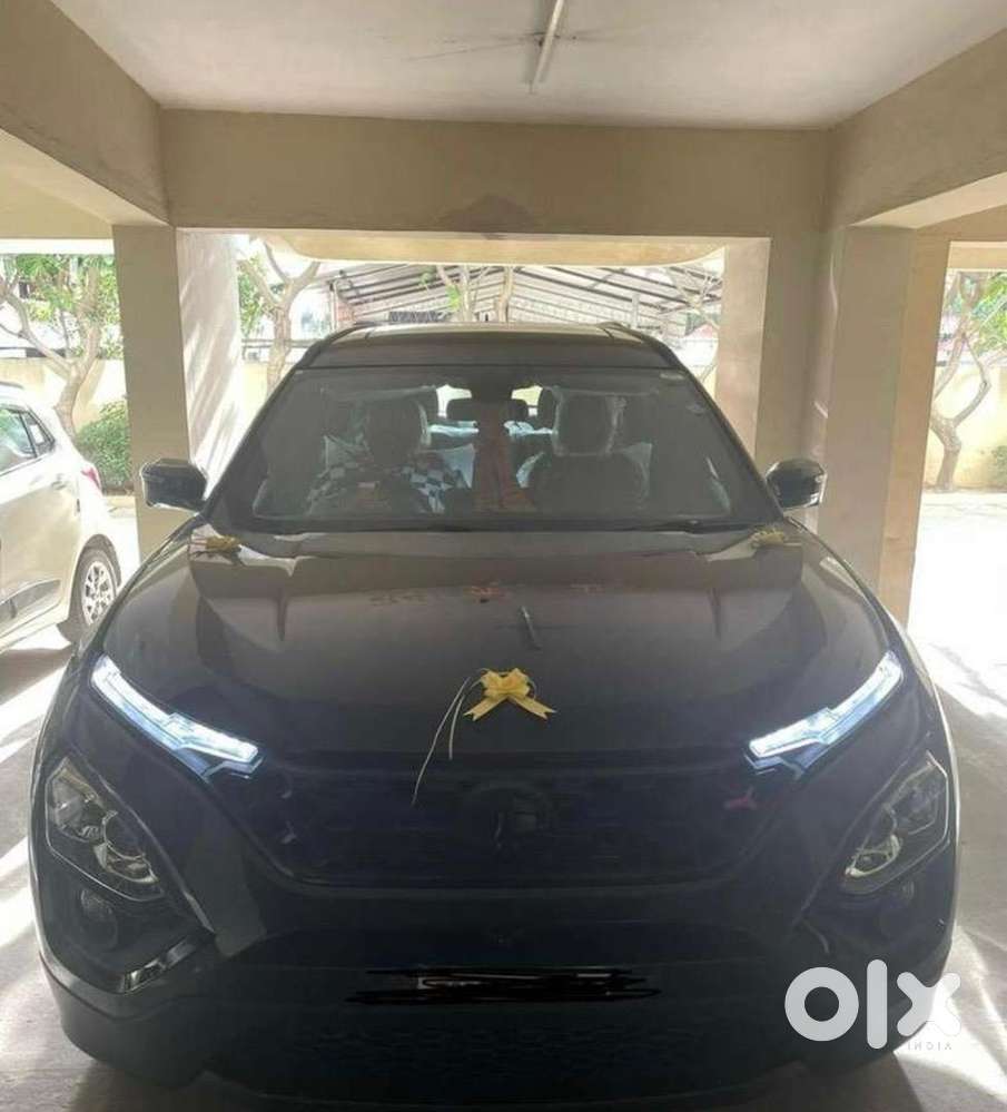 Safari Red Dark Xza+ Automatic Top Model - Limited Edition