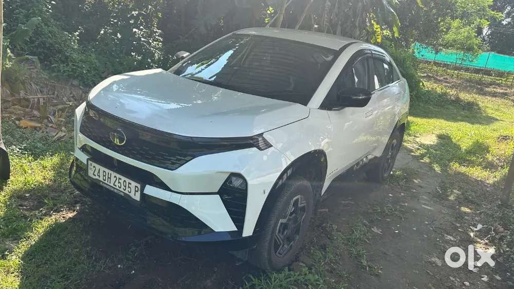 Tata Curvv Petrol Well Maintained