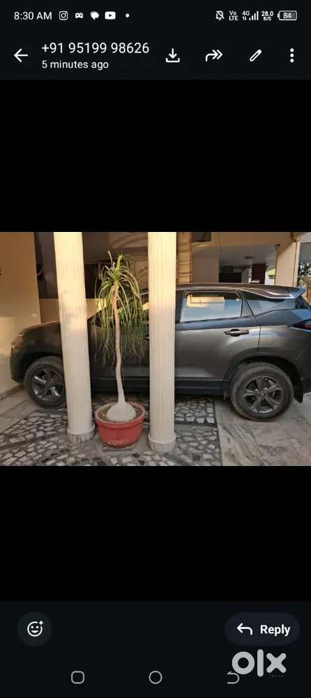 Tata Harrier 2022 Diesel 38000 Km Driven