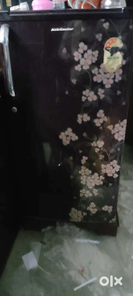 Refrigerator (Fridge)