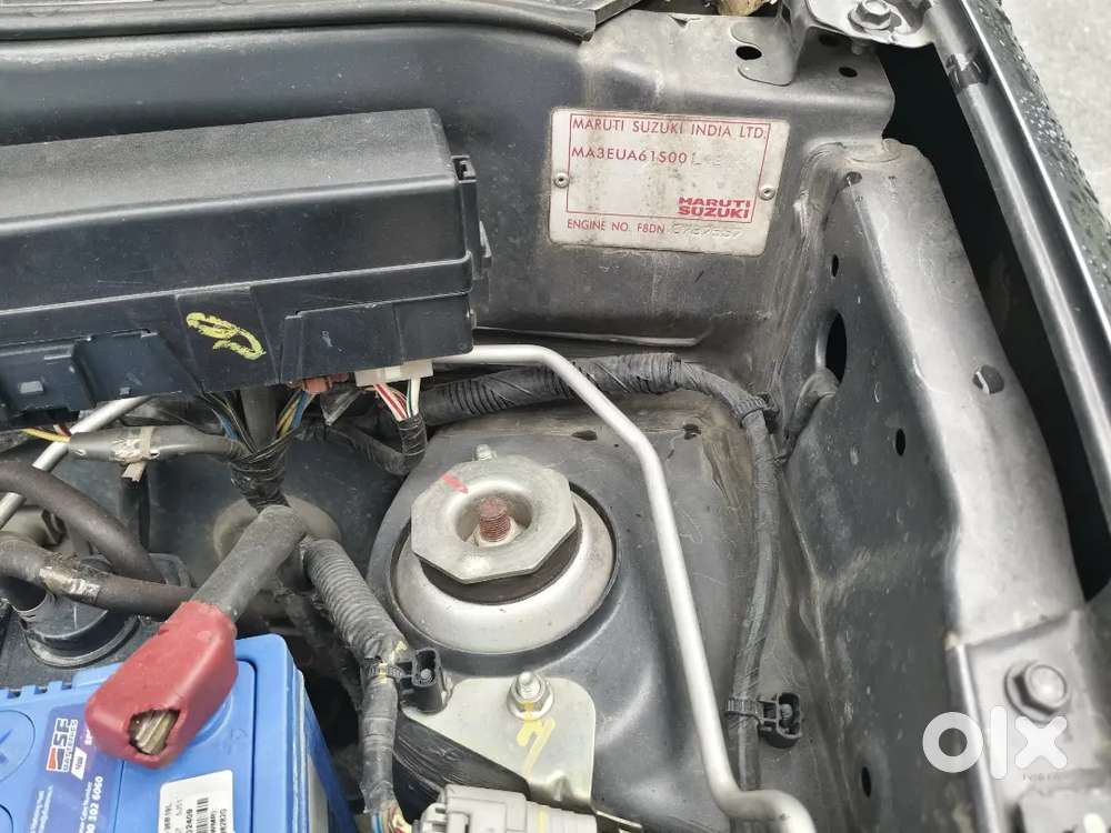 2023 Maruti Suzuki Alto