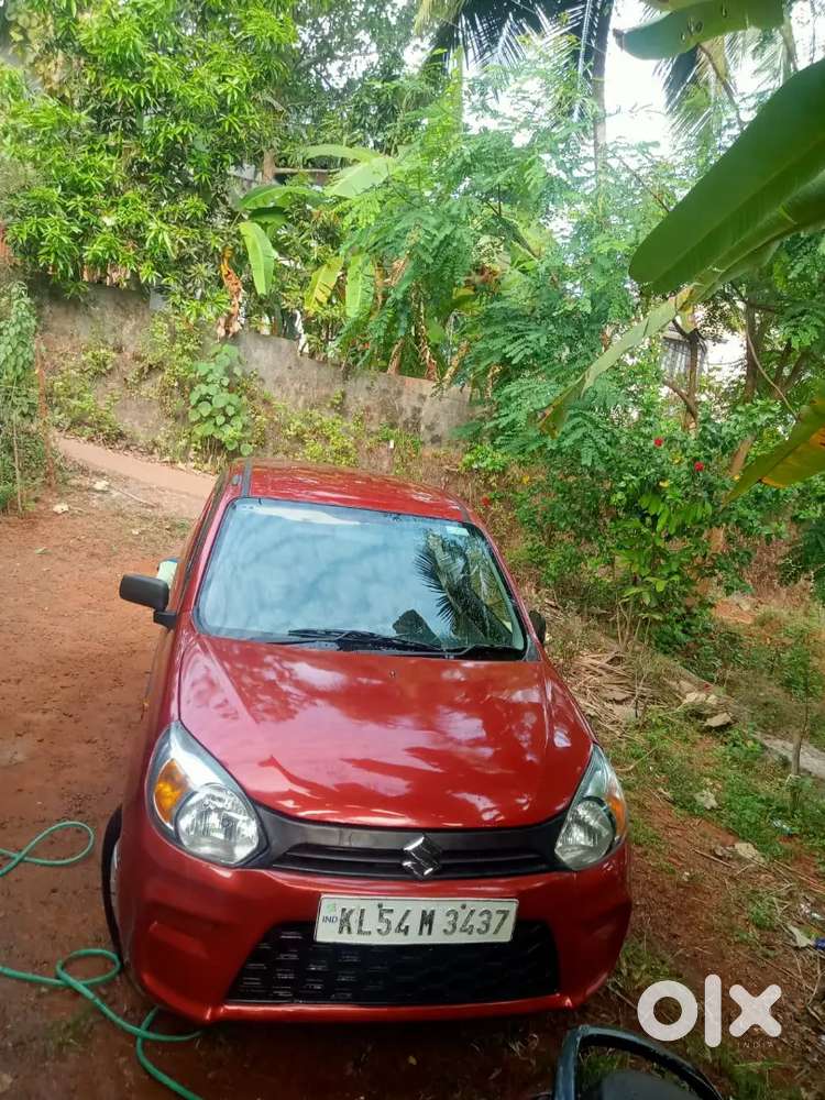 Maruti Suzuki Alto 2019 2020 Registration