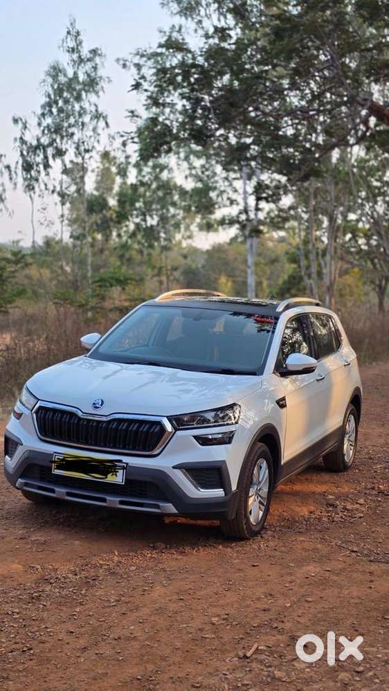 Skoda Kushaq 2022 Petrol 30000 Km Driven